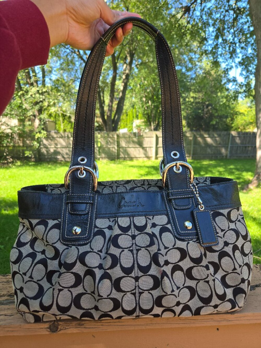 Coach Y2K Pleated Signature C Shoulder Bag #F13742